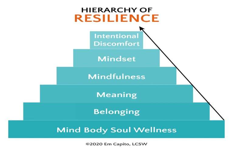 Guest Post: How to Stress Less: The Hierarchy of Resilience©